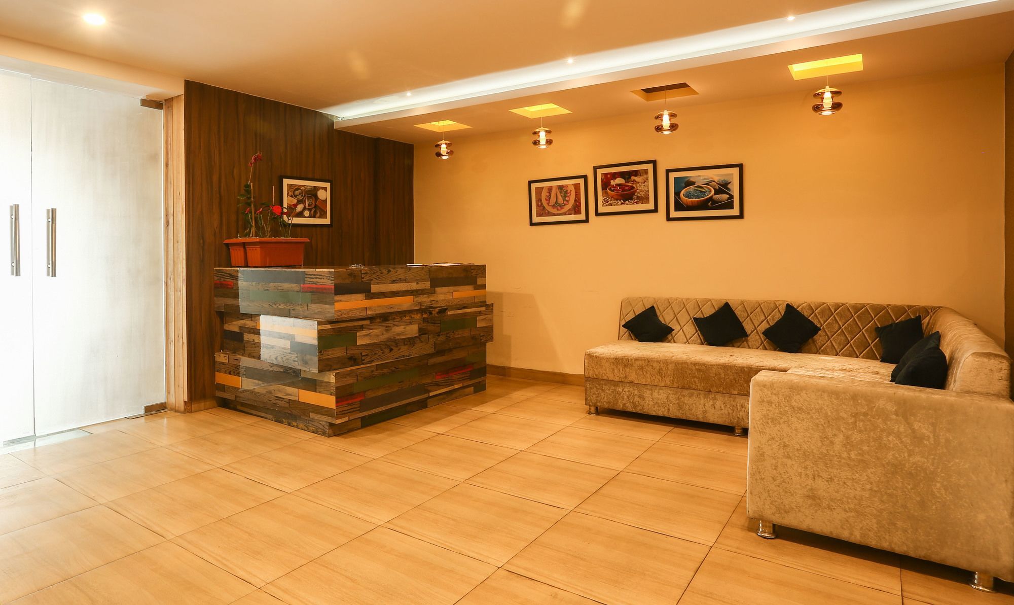 Treebo Trend Gk Conifer Hotel Dharamshala Exterior photo