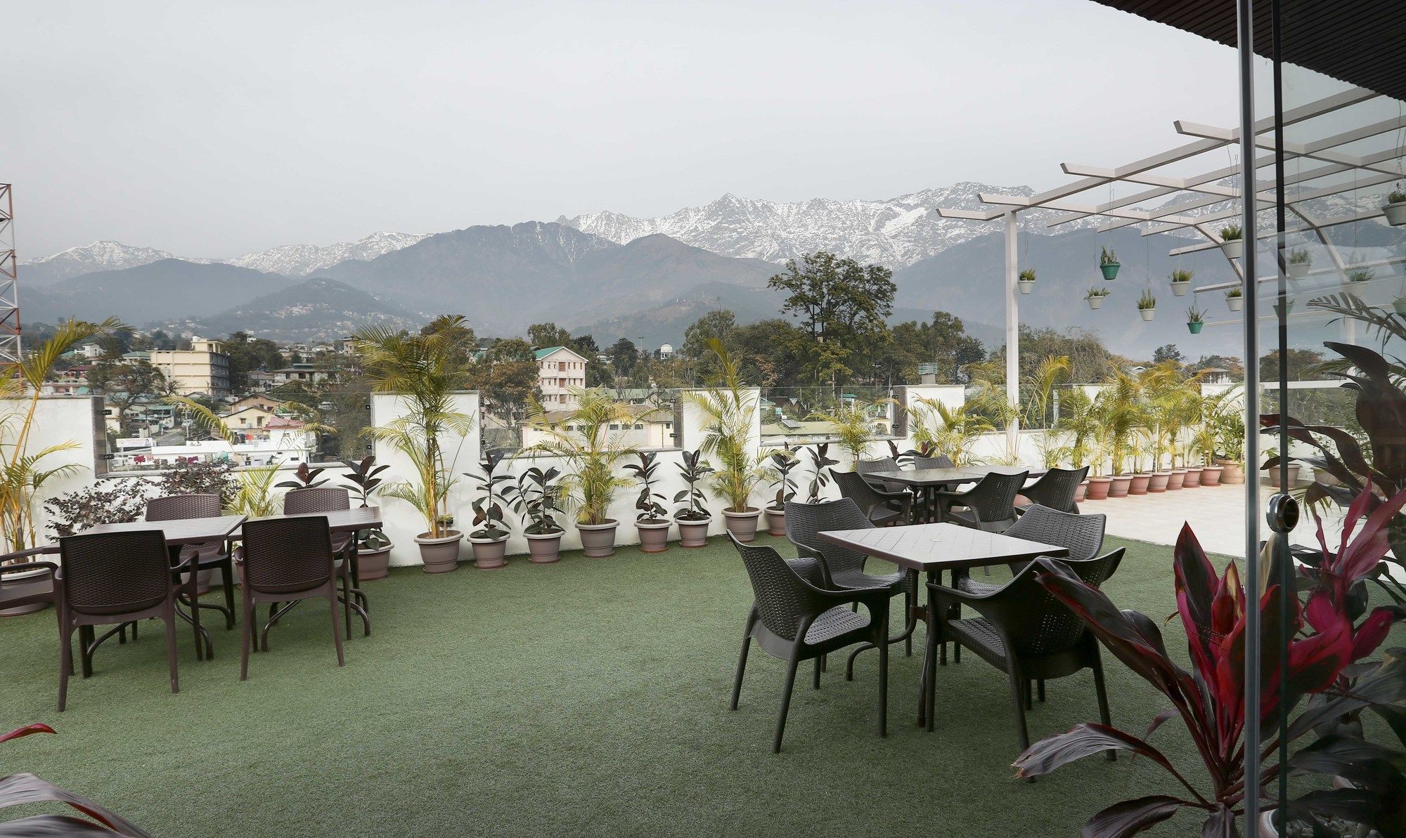Treebo Trend Gk Conifer Hotel Dharamshala Exterior photo